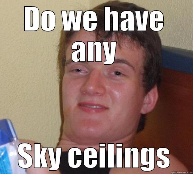 DO WE HAVE ANY SKY CEILINGS 10 Guy