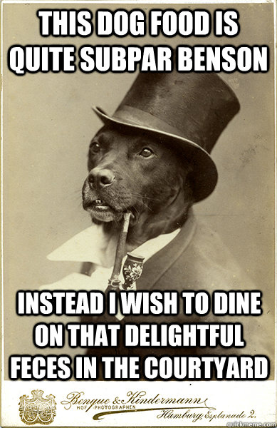 This dog food is quite subpar Benson instead I wish to dine on that delightful feces in the courtyard - This dog food is quite subpar Benson instead I wish to dine on that delightful feces in the courtyard  Old Money Dog