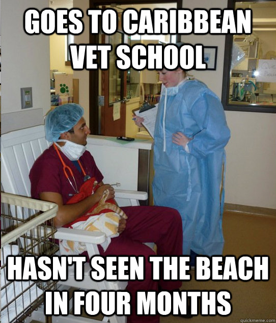 Goes to Caribbean Vet School Hasn't seen the beach in four months  Overworked Veterinary Student