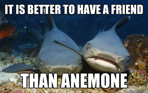 It is better to have a friend than anemone  Compassionate Shark Friend