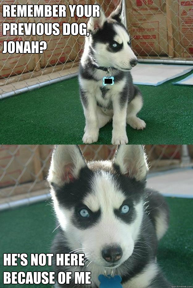 Remember your 
previous dog, 
Jonah? He's not here 
because of me  Insanity puppy