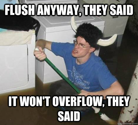 Flush anyway, they said it won't overflow, they said  They said