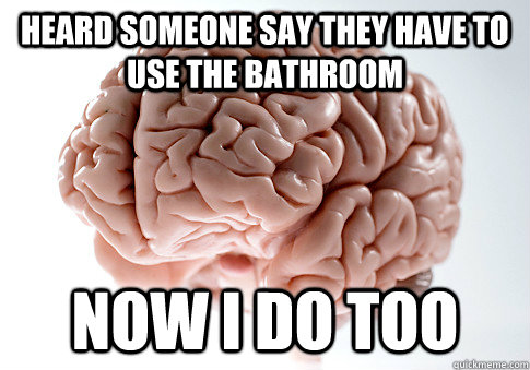 Heard someone say they have to use the bathroom Now I do too  Scumbag Brain