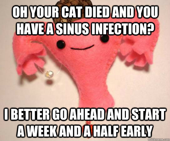 Oh your cat died and you have a sinus infection? I better go ahead and start a week and a half early - Oh your cat died and you have a sinus infection? I better go ahead and start a week and a half early  Scumbag Uterus