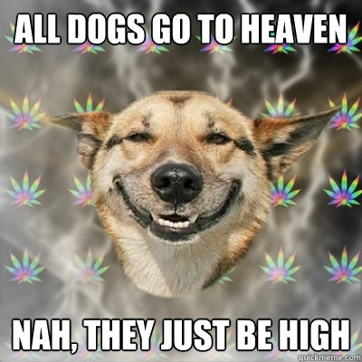 All dogs go to heaven nah, they just be high - All dogs go to heaven nah, they just be high  Stoner Dog