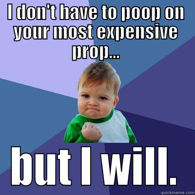 I DON'T HAVE TO POOP ON YOUR MOST EXPENSIVE PROP... BUT I WILL. Success Kid