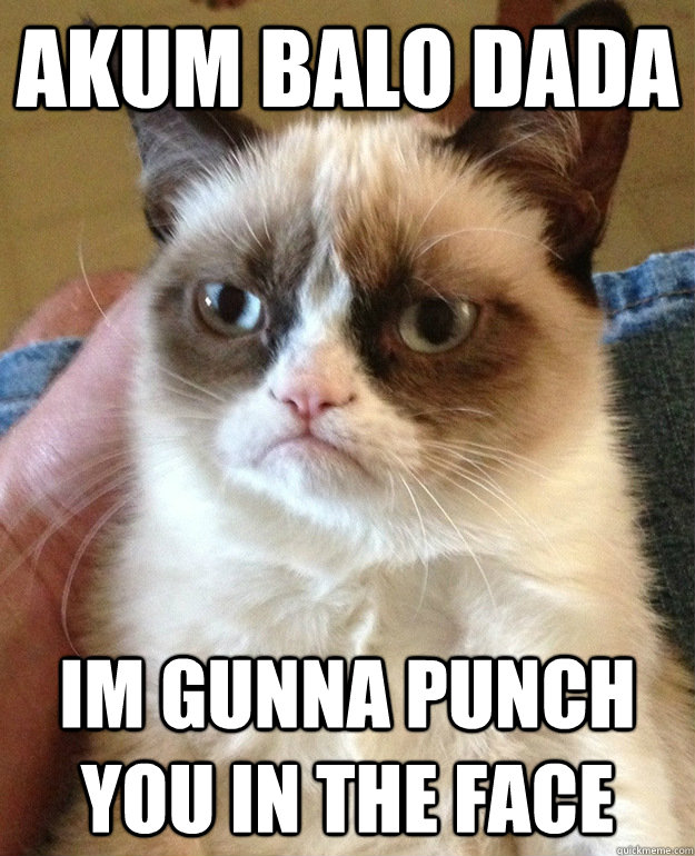 Akum balo dada im gunna punch you in the face  grumpycat