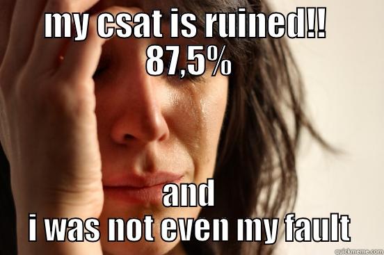 MY CSAT IS RUINED!!  87,5% AND I WAS NOT EVEN MY FAULT First World Problems