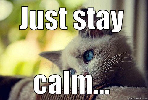 JUST STAY CALM... First World Problems Cat