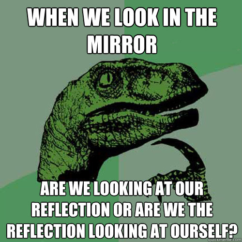 When we look in the mirror are we looking at our reflection or are we the reflection looking at ourself? - When we look in the mirror are we looking at our reflection or are we the reflection looking at ourself?  Philosoraptor