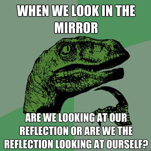 When we look in the mirror are we looking at our reflection or are we the reflection looking at ourself?  Philosoraptor