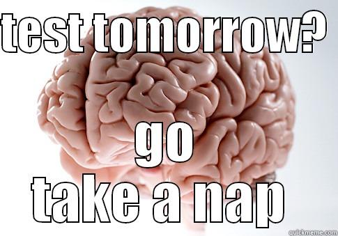 TEST TOMORROW?  GO TAKE A NAP  Scumbag Brain