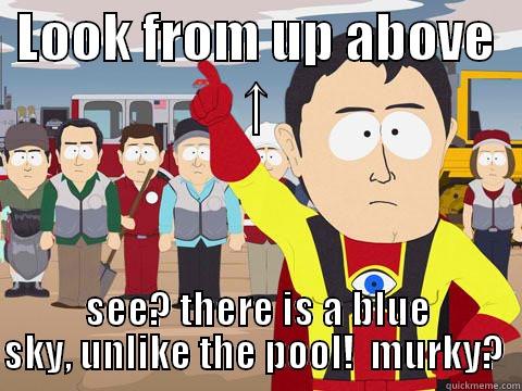 LOOK FROM UP ABOVE ↑ SEE? THERE IS A BLUE SKY, UNLIKE THE POOL!  MURKY?  Captain Hindsight