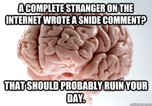 A complete stranger on the internet wrote a snide comment? That should probably ruin your day.  Scumbag Brain