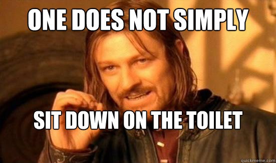 One Does Not Simply sit down on the toilet after legs day Caption 3 goes here  Boromir