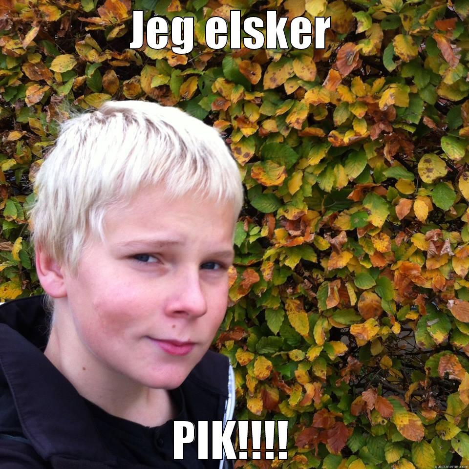 JEG ELSKER PIK!!!! Misc