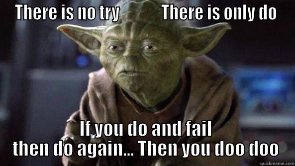 Watch Where you step - THERE IS NO TRY             THERE IS ONLY DO IF YOU DO AND FAIL THEN DO AGAIN... THEN YOU DOO DOO True dat, Yoda.
