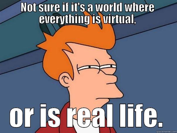 Virtual World - NOT SURE IF IT'S A WORLD WHERE EVERYTHING IS VIRTUAL, OR IS REAL LIFE. Futurama Fry