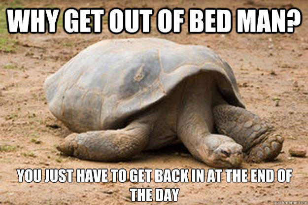 Why get out of bed man? you just have to get back in at the end of the day - Why get out of bed man? you just have to get back in at the end of the day  Depression Turtle