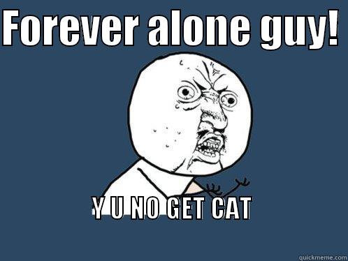 FOREVER ALONE GUY!  Y U NO GET CAT                                                               Y U No