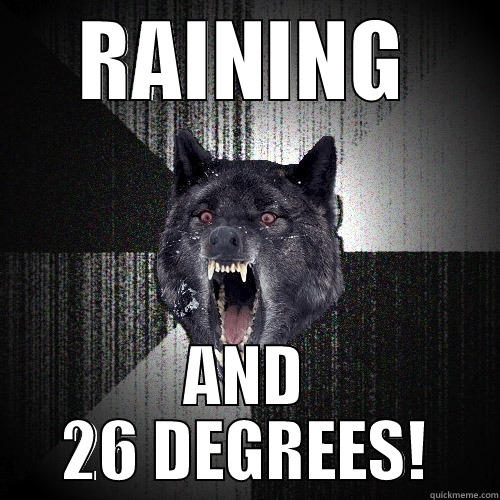 RAINING AND 26 DEGREES! Insanity Wolf