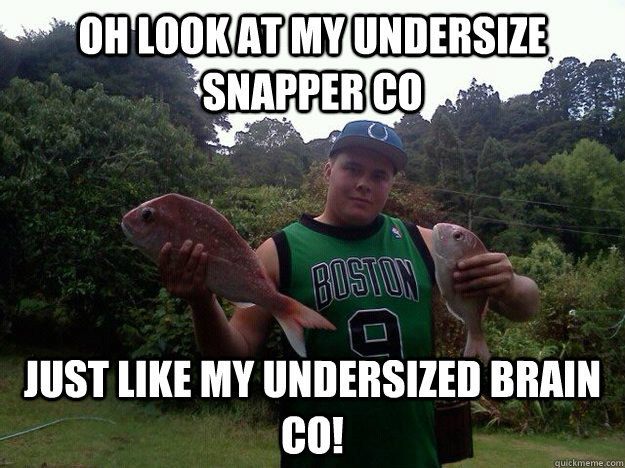 oh look at my undersize snapper co just like my undersized brain co!  