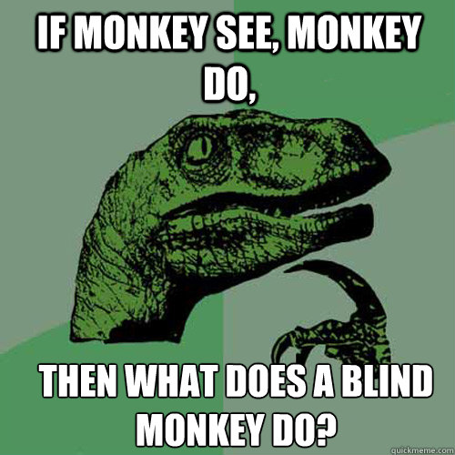 if monkey see, monkey do, then what does a blind monkey do? - if monkey see, monkey do, then what does a blind monkey do?  Misc