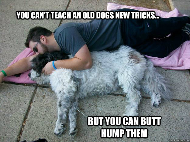 You can't teach an old dogs new tricks... But you can butt hump them  