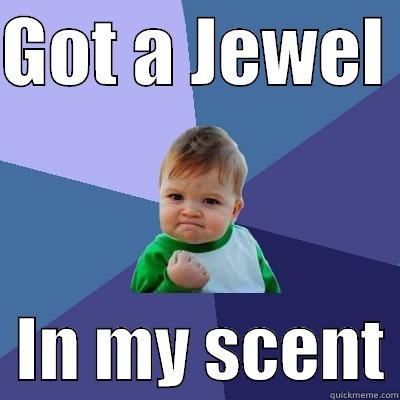 GOT A JEWEL    IN MY SCENT Success Kid