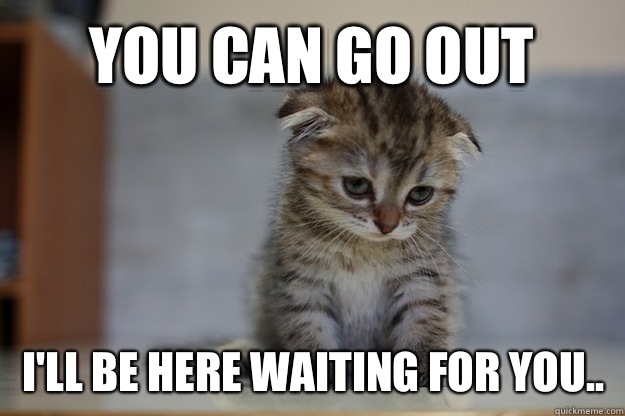 You can go out I'll be here waiting for you..  Sad Kitten