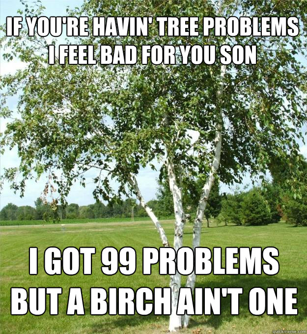 If you're havin' tree problems i feel bad for you son I got 99 problems but a birch ain't one  