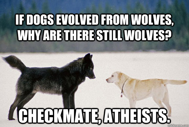 If dogs evolved from wolves, why are there still wolves? Checkmate, atheists. - If dogs evolved from wolves, why are there still wolves? Checkmate, atheists.  Dog & Wolf