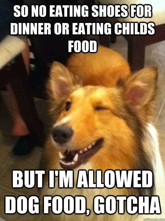 so no eating shoes for dinner or eating childs food but I'm allowed dog food, gotcha  implying dog