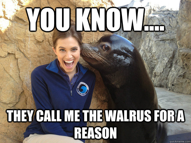 You know.... They call me the walrus for a reason  Sea Lion