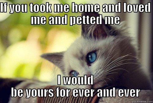 IF YOU TOOK ME HOME AND LOVED ME AND PETTED ME I WOULD BE YOURS FOR EVER AND EVER First World Problems Cat