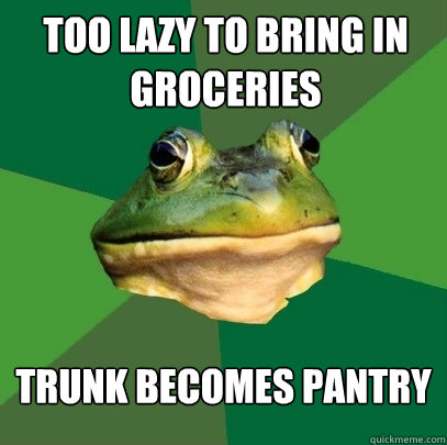 too lazy to bring in groceries trunk becomes pantry  Foul Bachelor Frog
