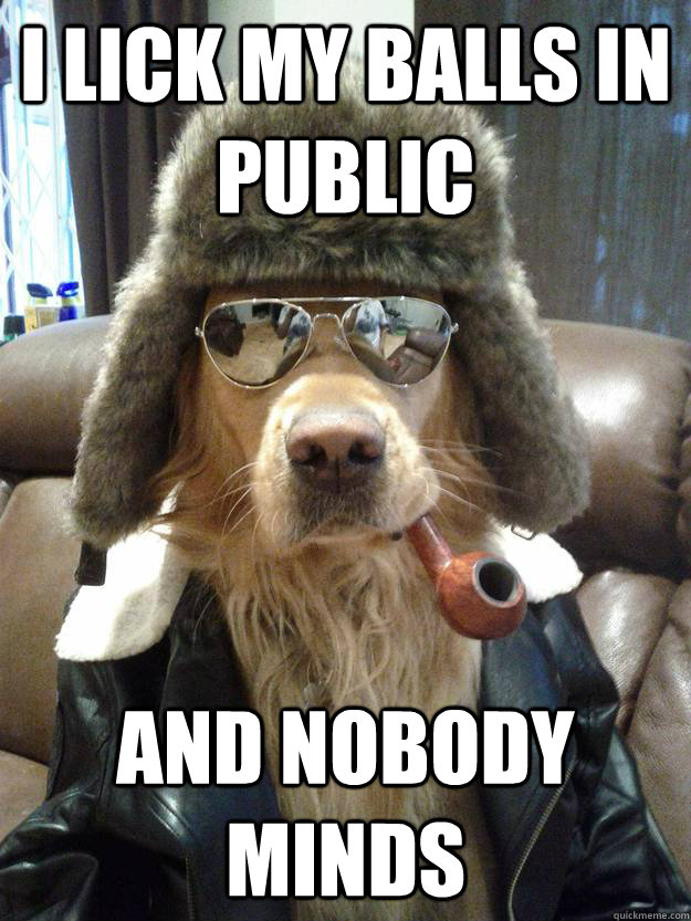 I lick my balls in public and nobody minds - Overly Suave Dog - quickmeme.