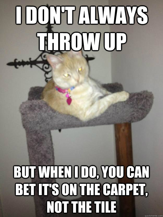 I don't always throw up But when I do, you can bet it's on the carpet, not the tile  The Most Interesting Cat in the World