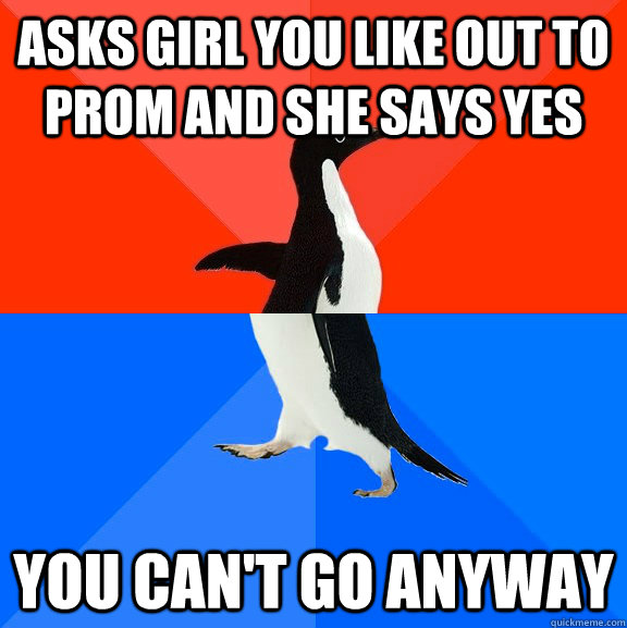Asks girl you like out to prom and she says yes you can't go anyway  Socially Awesome Awkward Penguin