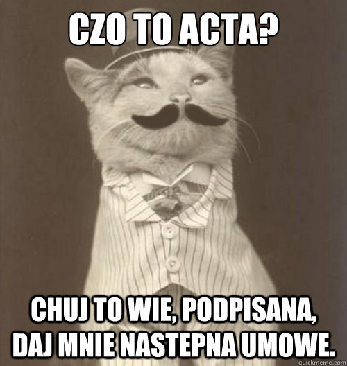 czo to acta? Chuj to wie, podpisana, daj mnie nastepna umowe.  Original Business Cat