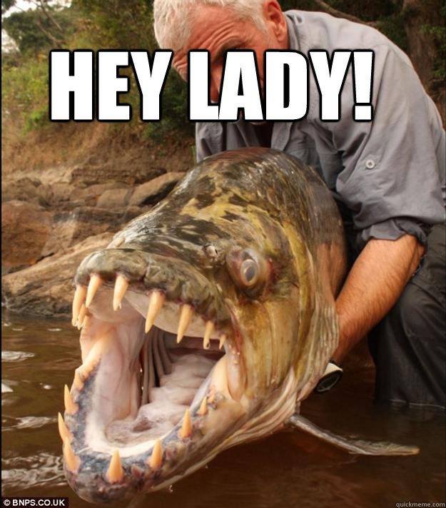  hey Lady!  Comedy Fish