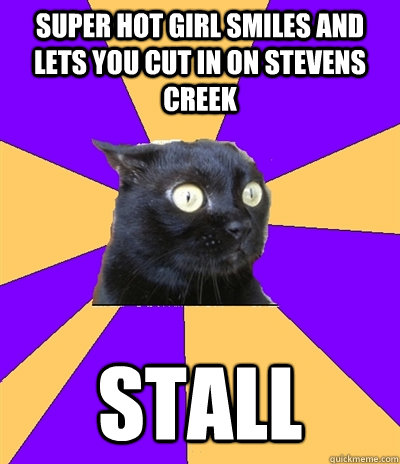 Super hot girl smiles and lets you cut in on Stevens Creek Stall  Anxiety Cat