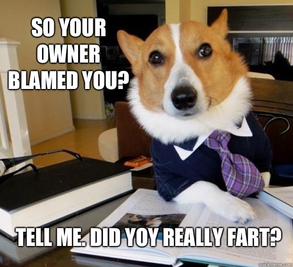 So your owner blamed you? Tell me. Did yoy really fart?   Lawyer Dog