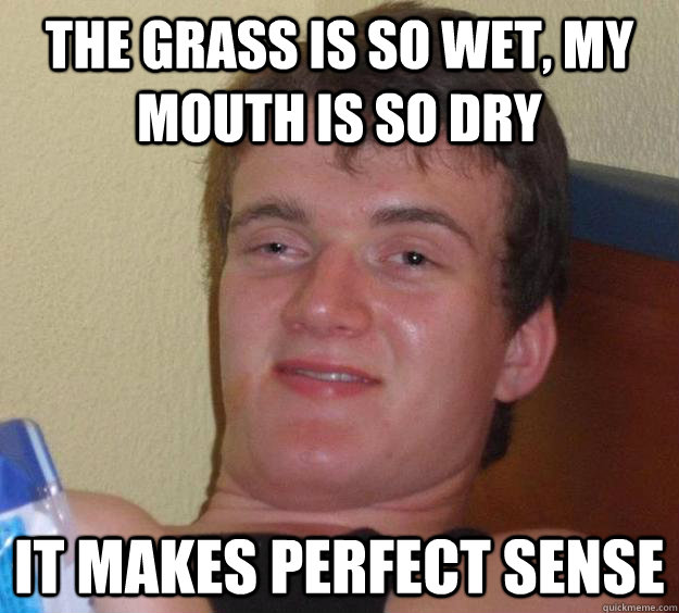 The grass is so wet, my mouth is so dry It makes perfect sense - The grass is so wet, my mouth is so dry It makes perfect sense  10 Guy