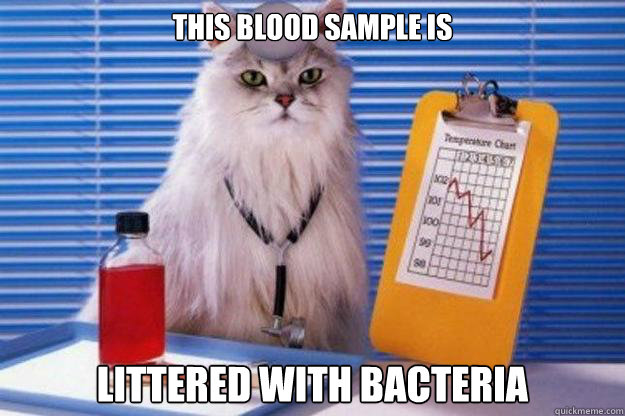 this blood sample is littered with bacteria - this blood sample is littered with bacteria  Doctor Cat