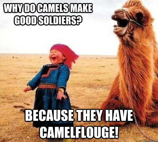 Why do camels make good soldiers? Because they have CAMELflouge!   camel jokes