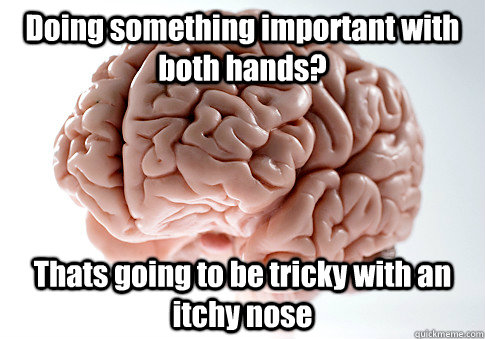 Doing something important with both hands? Thats going to be tricky with an itchy nose  - Doing something important with both hands? Thats going to be tricky with an itchy nose   Scumbag Brain
