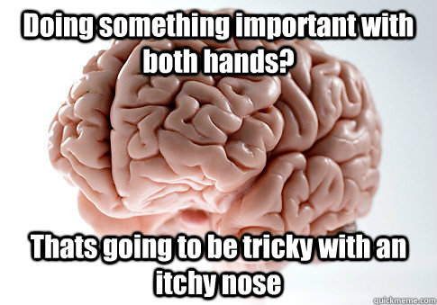 Doing something important with both hands? Thats going to be tricky with an itchy nose   Scumbag Brain