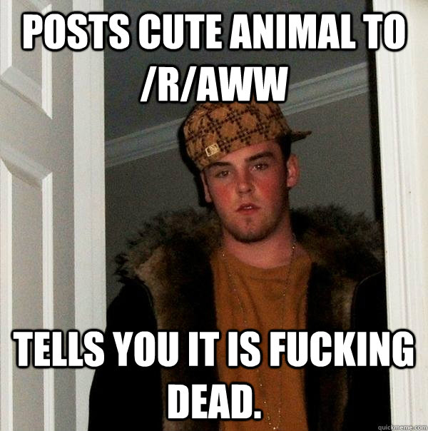 Posts Cute animal to /r/aww Tells you it is fucking dead.  Scumbag Steve