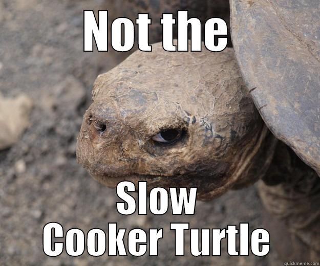 Ninja Turtle - NOT THE SLOW COOKER TURTLE Angry Turtle